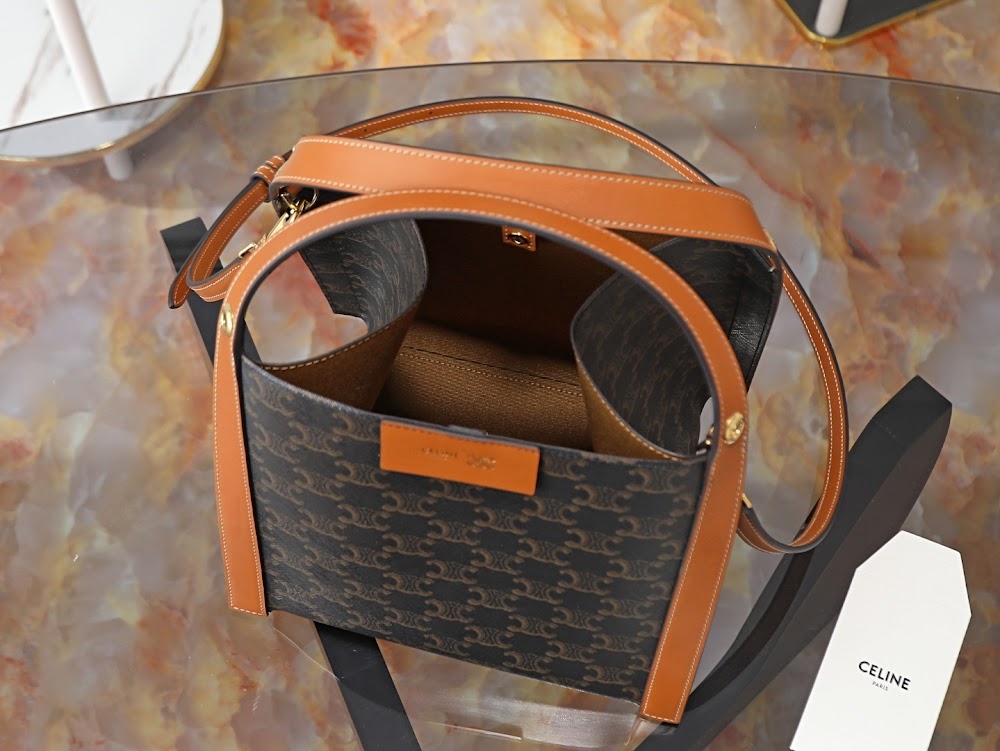 Dragons Bags Celine Luxury Bag --112656