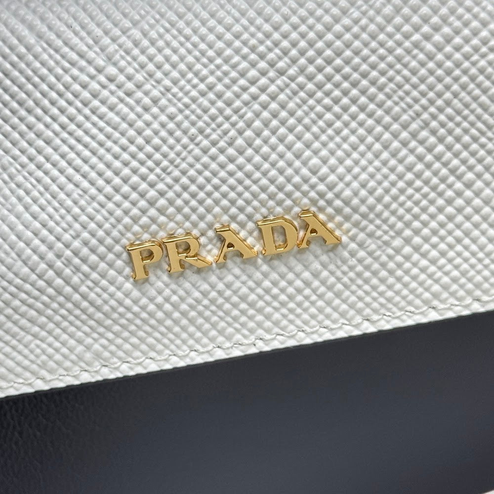 Dragons Bags Pradn Luxury Bag --102202