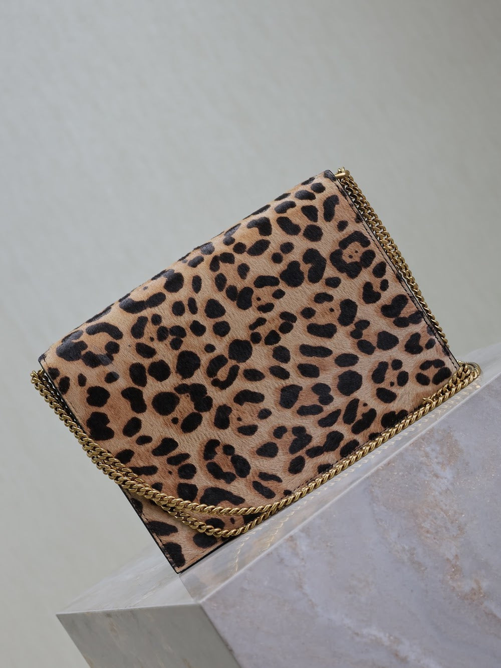 Dragons Bags YSLn Luxury Bag --119652