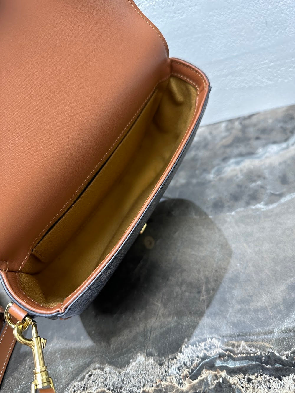 Dragons Bags Celine Luxury Bag --112350