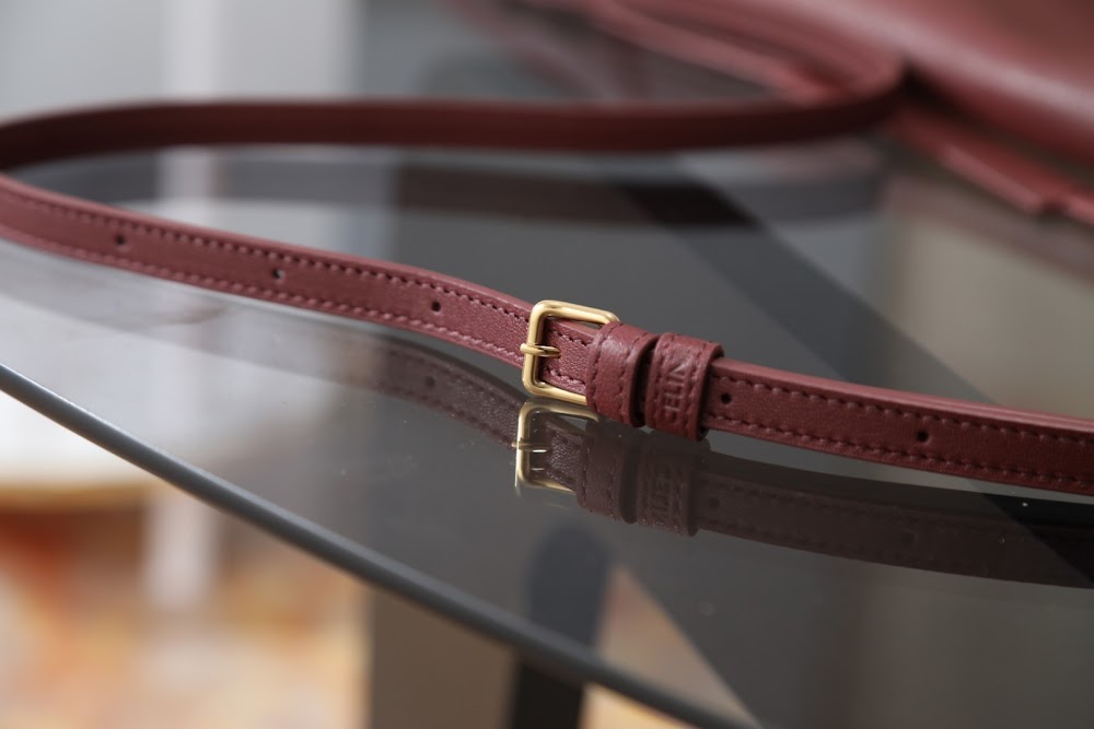 Dragons Bags Celine Luxury Bag --112541