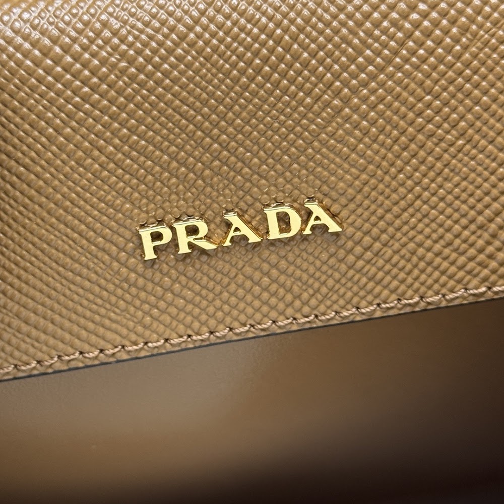 Dragons Bags Pradn Luxury Bag --102316