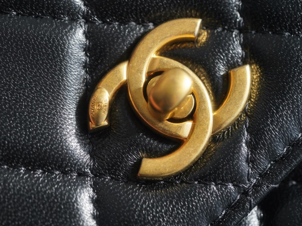 new-designer-premium-bags-nm10136
