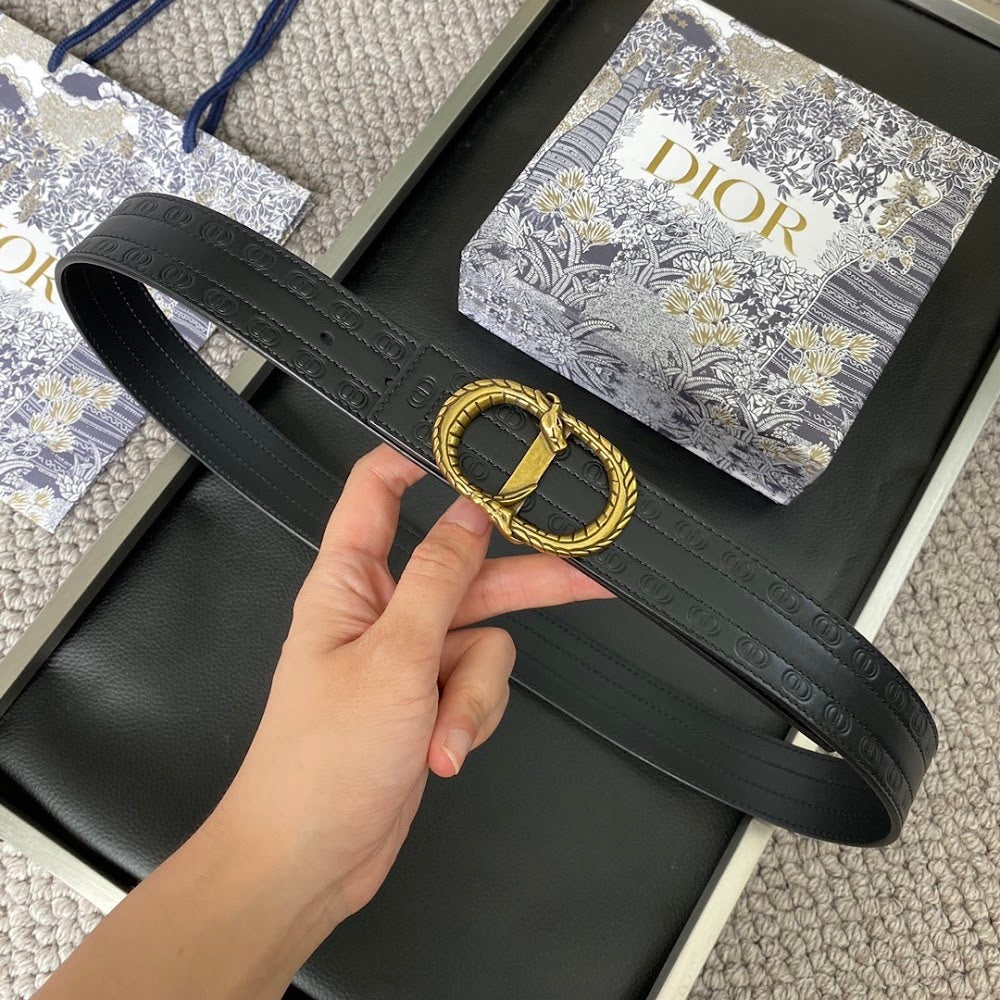 Dragons Bags Diorn Luxury Belt --105006