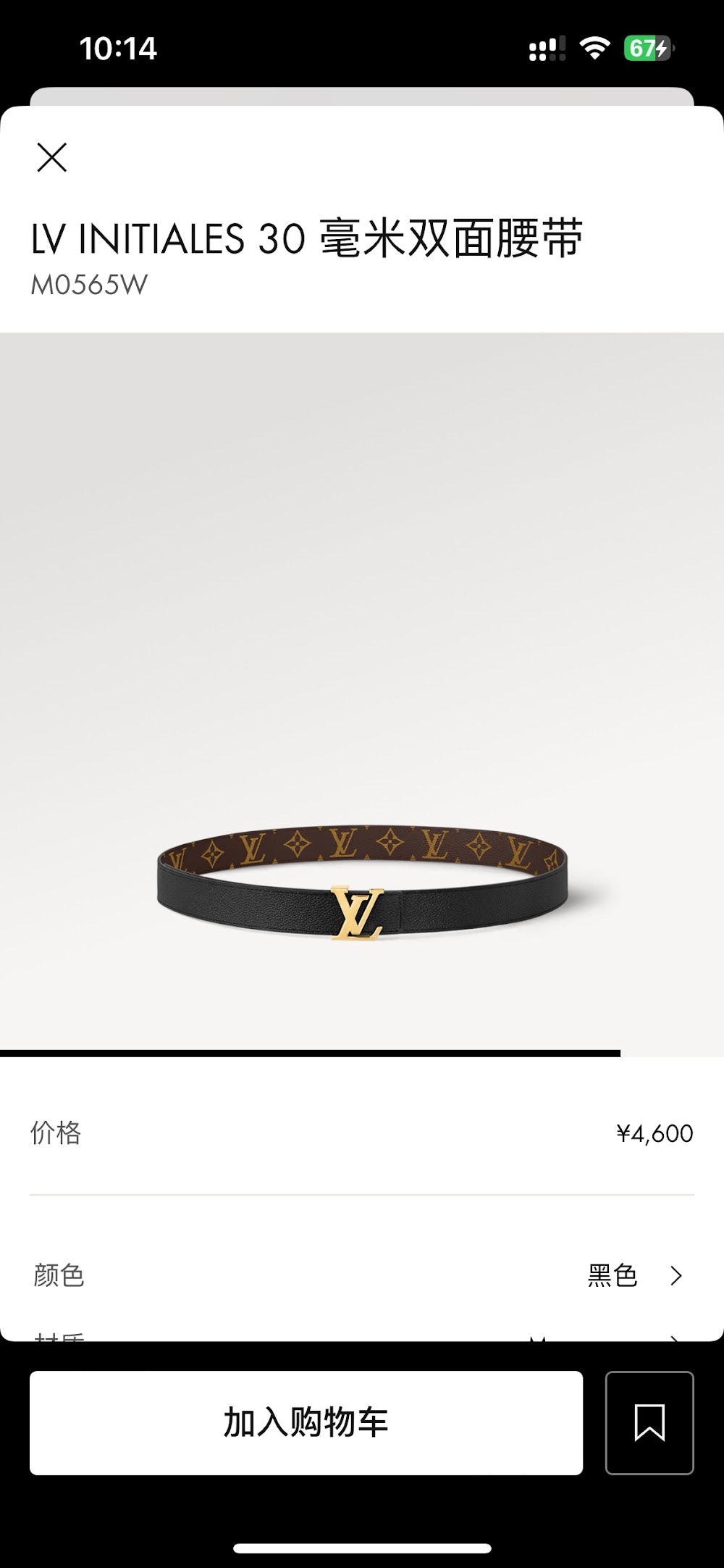 Dragons Bags ln Luxury Belt --100249