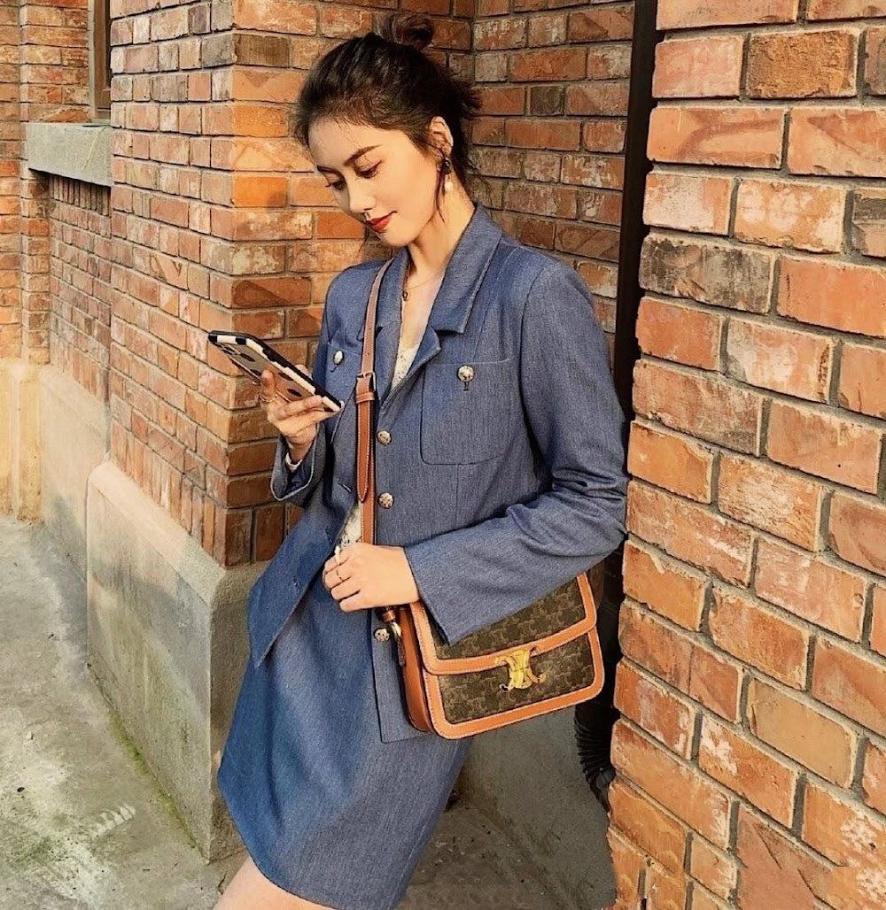 Dragons Bags Celine Luxury Bag --112385