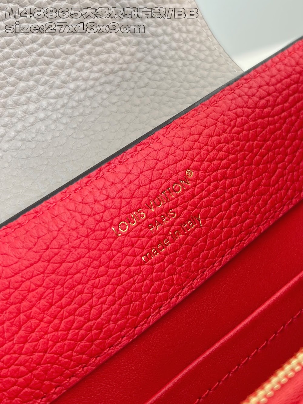 Dragons Bags ln Luxury Bag --95698