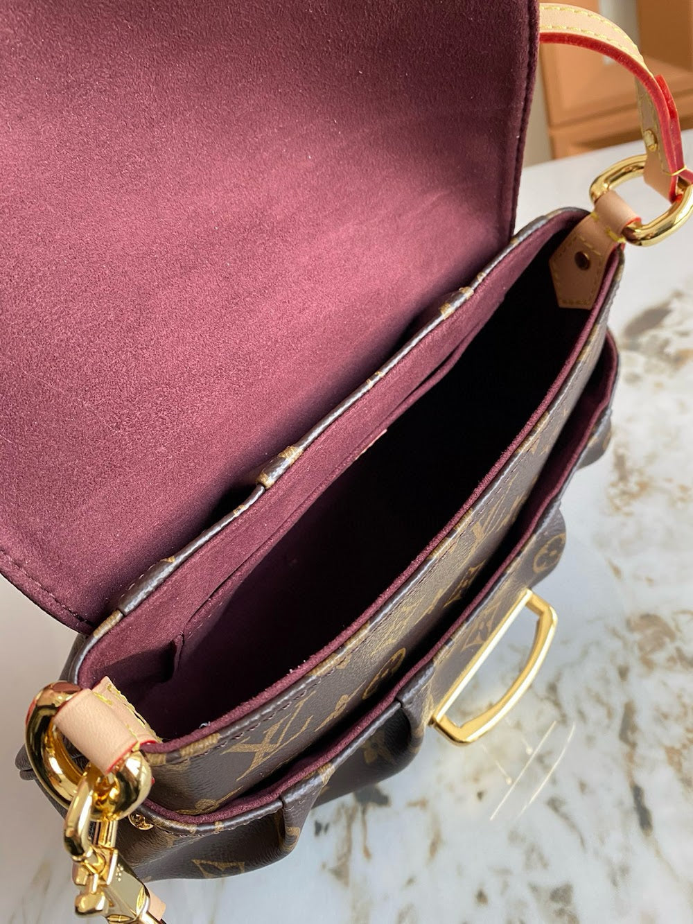Dragons Bags LVn Luxury Bag --79069