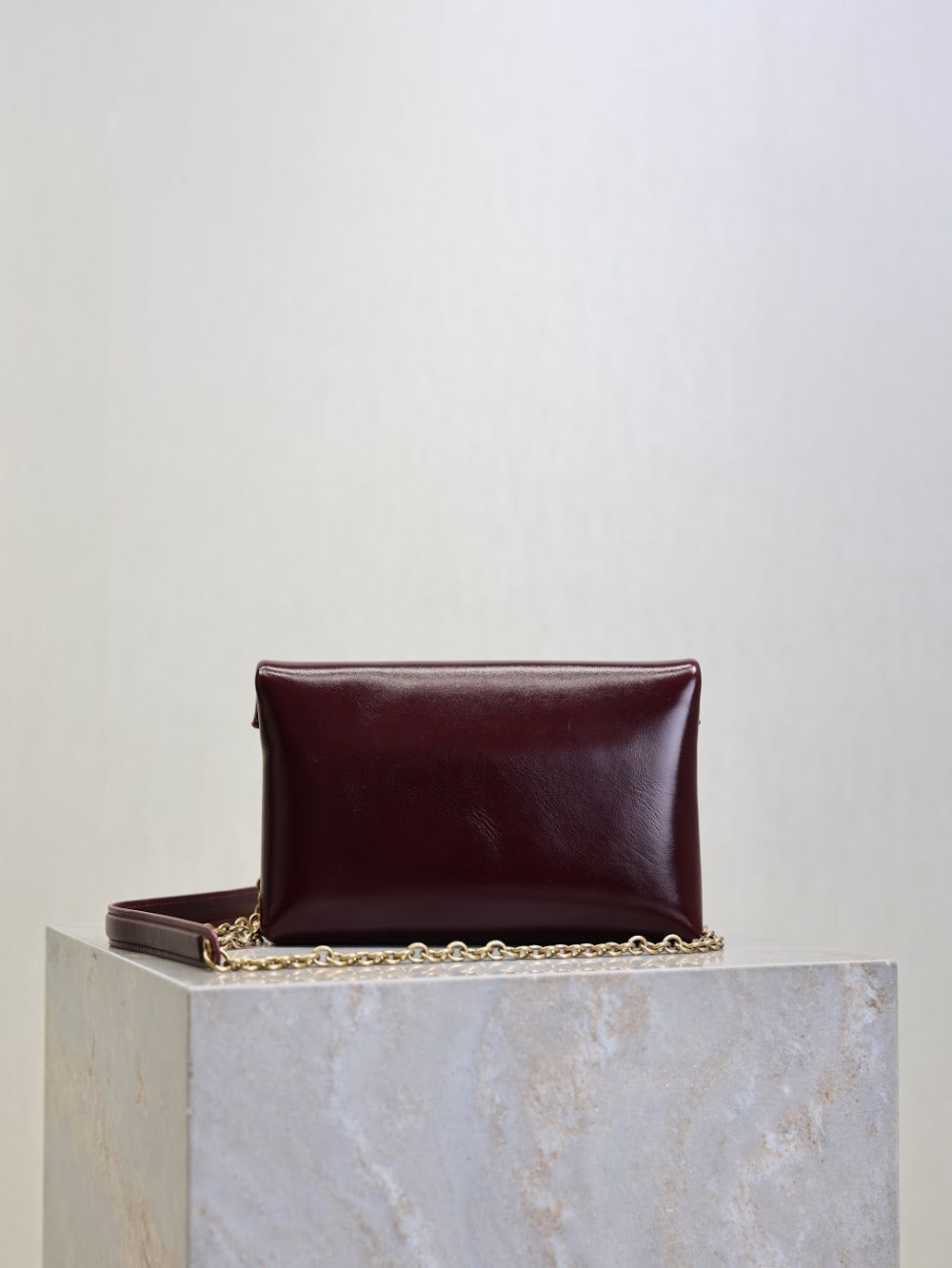 Dragons Bags YSLn Luxury Bag --119722