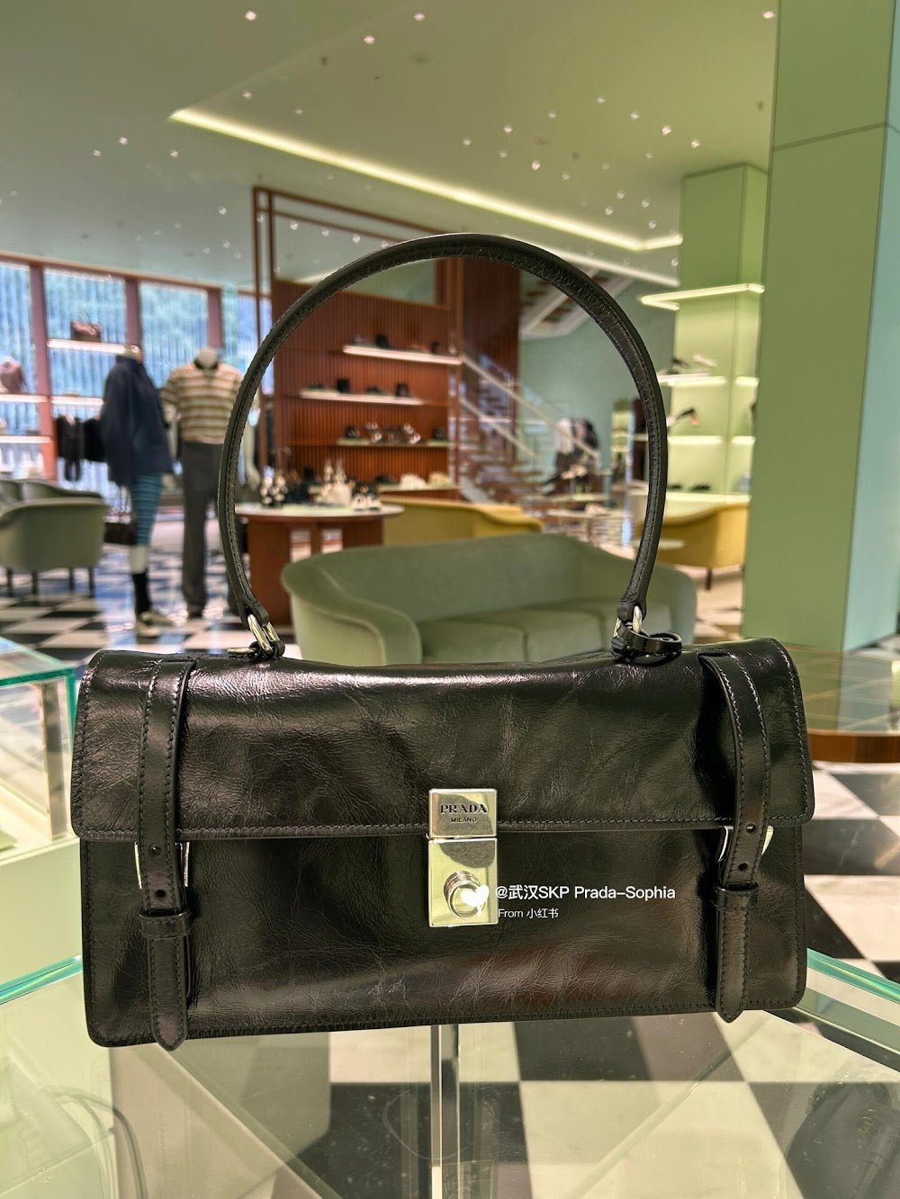 Dragons Bags Pradn Luxury Bag --102588