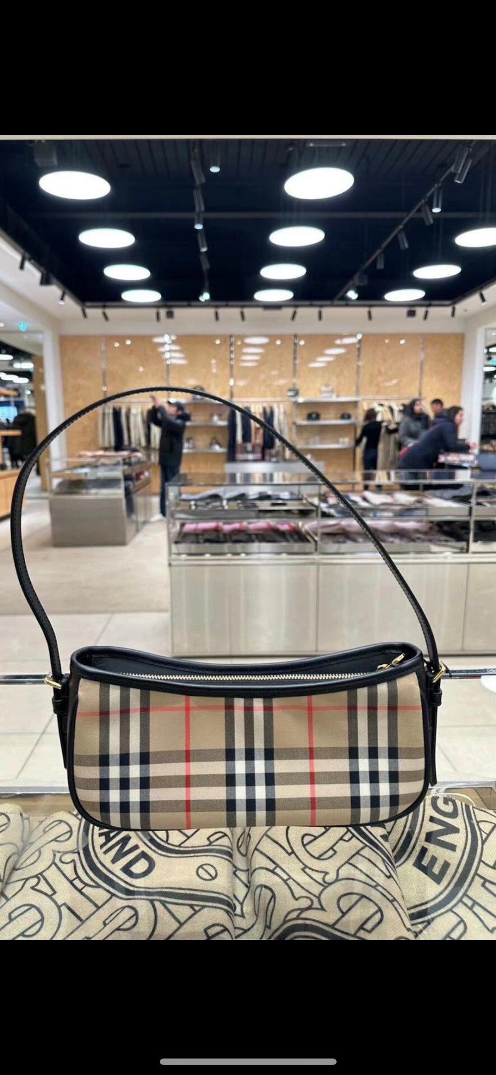 Dragons Bags Burberryn Luxury Bag --92058