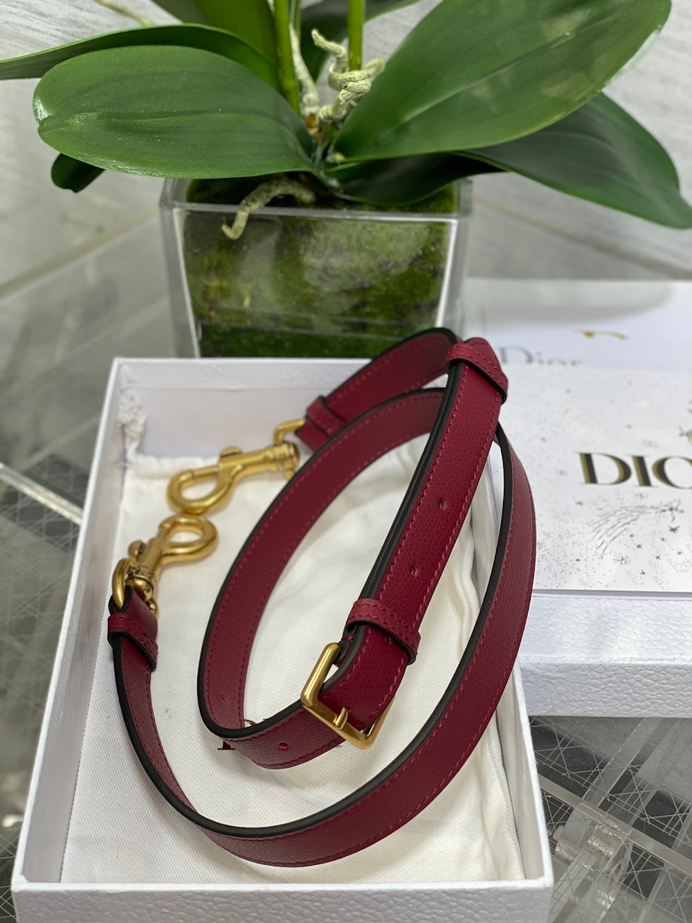 Dragons BagsDiorn Luxury Bag --115108