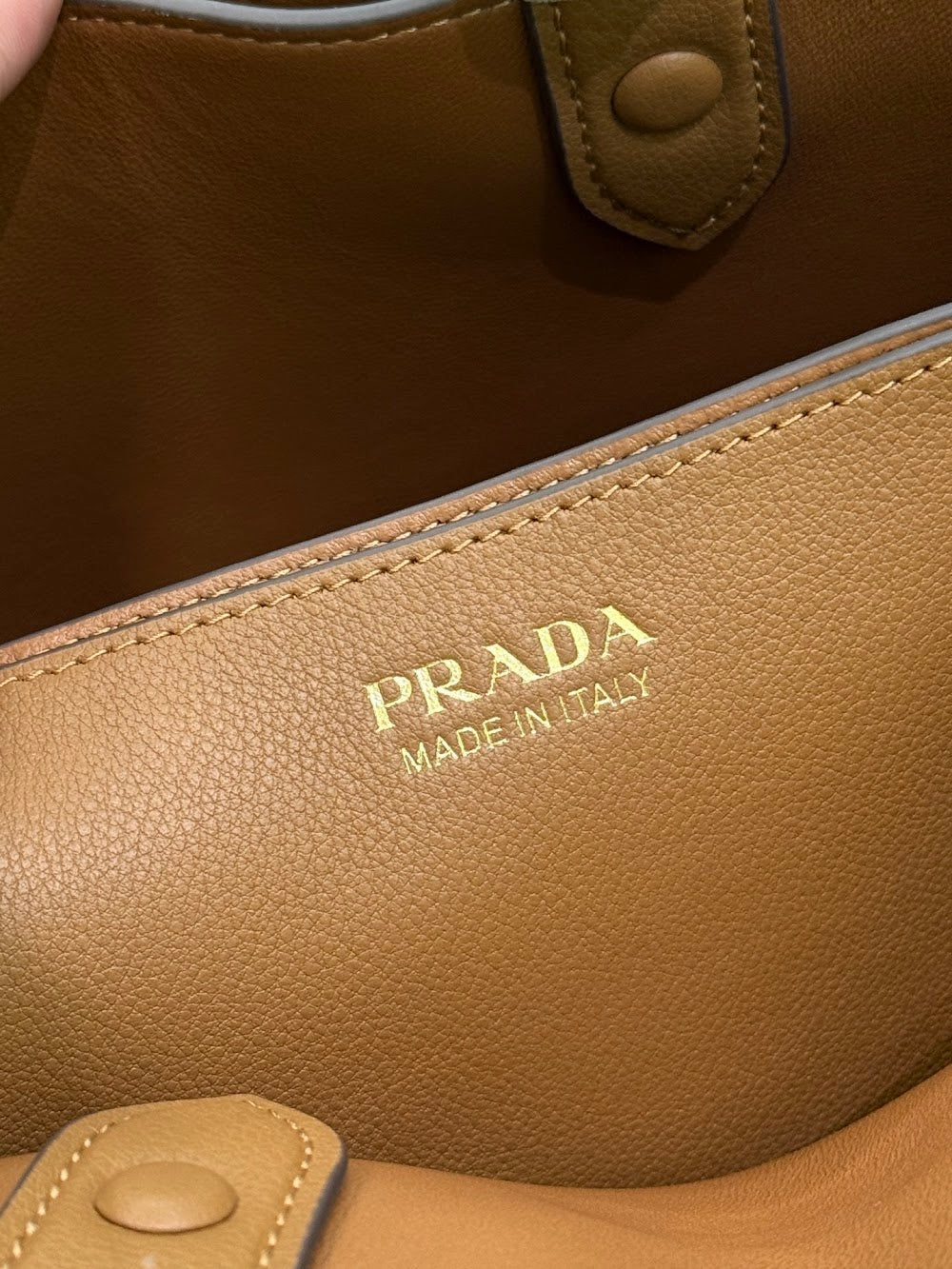 Dragons Bags Pradn Luxury Bag --102292