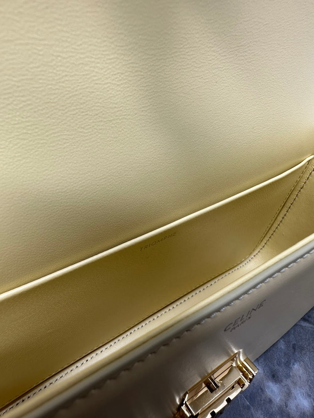 Dragons Bags Celine Luxury Bag --112424