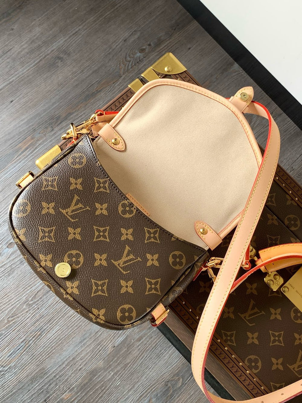 Dragons Bags LVn Luxury Bag --80172