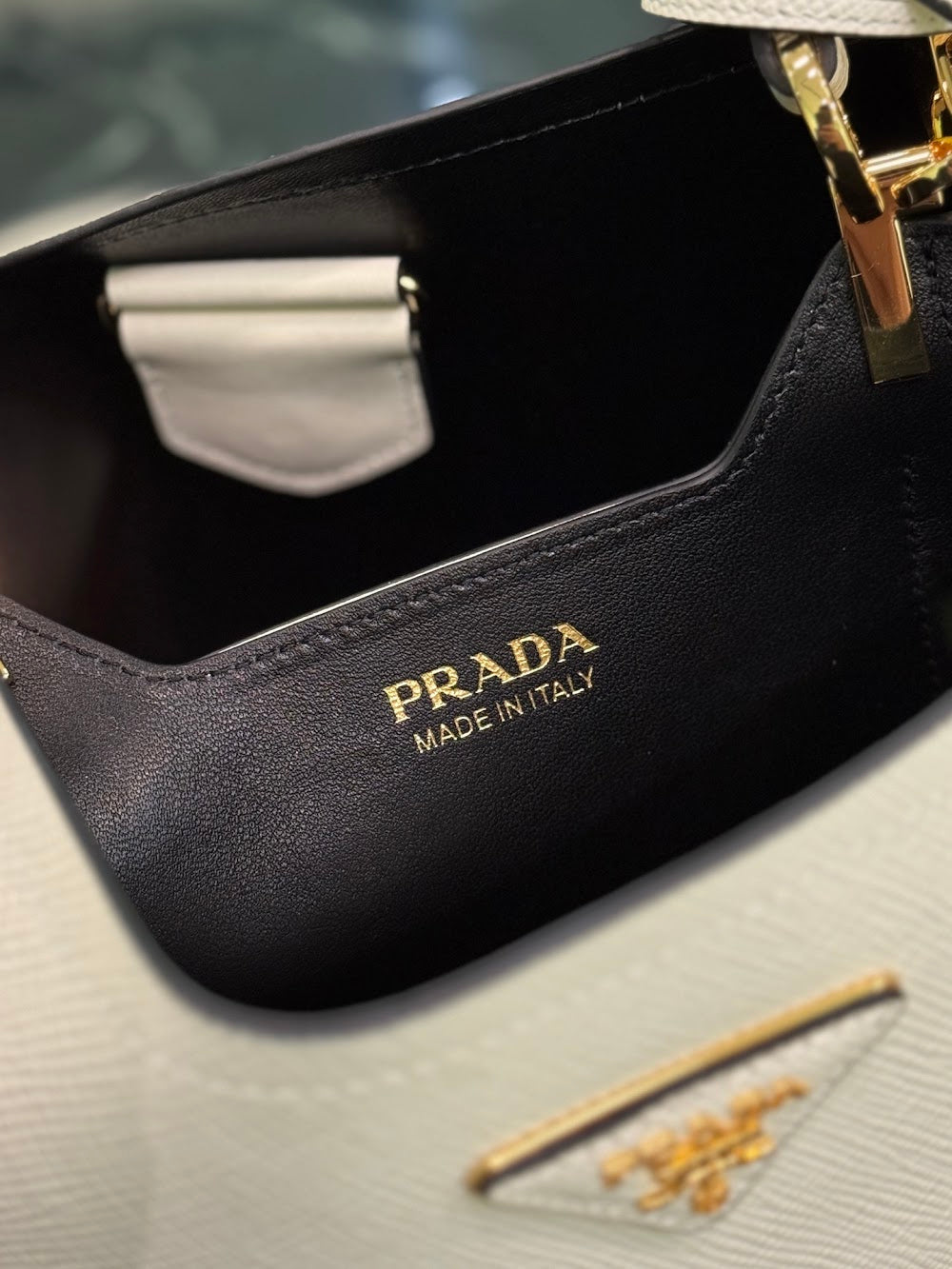 Dragons Bags Pradn Luxury Bag --102110