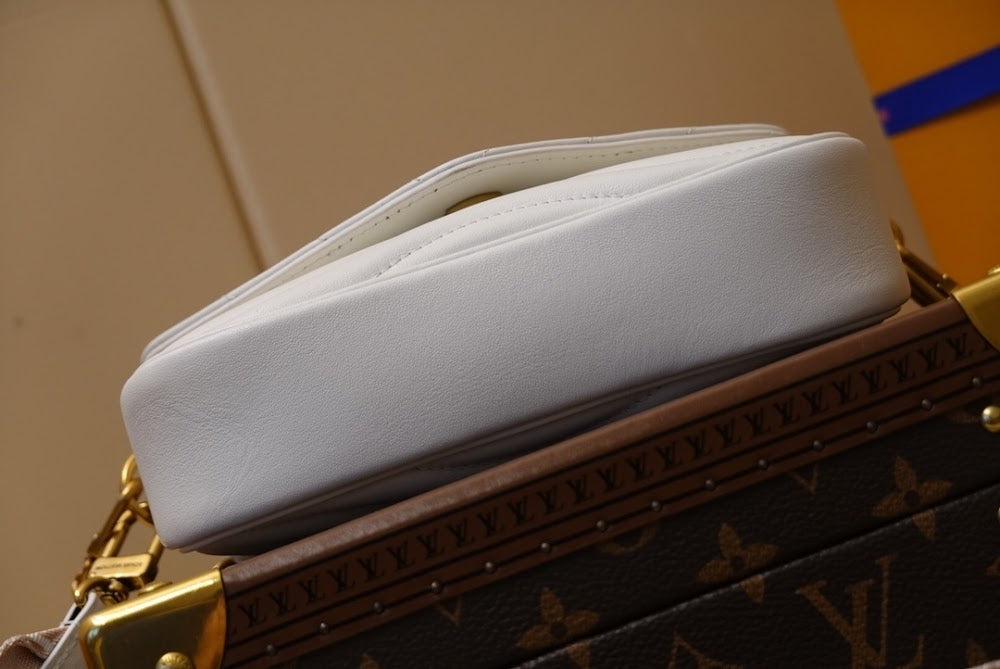 Dragons Bags ln Luxury Bag --66442