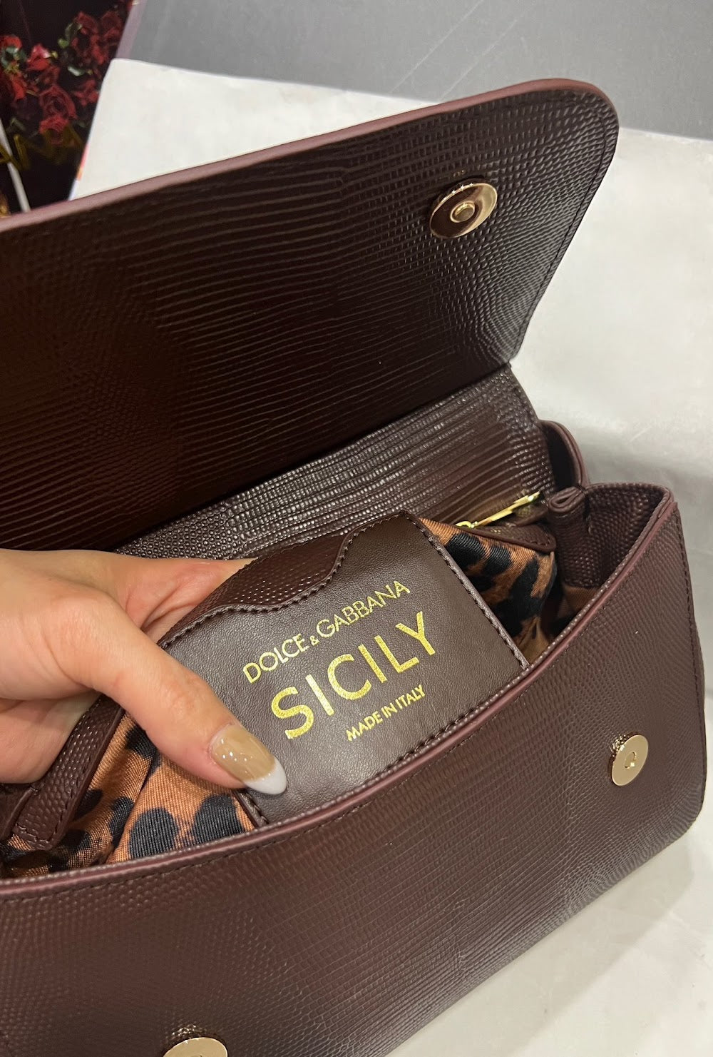 Dragons Bags DGn Luxury Bag --93490