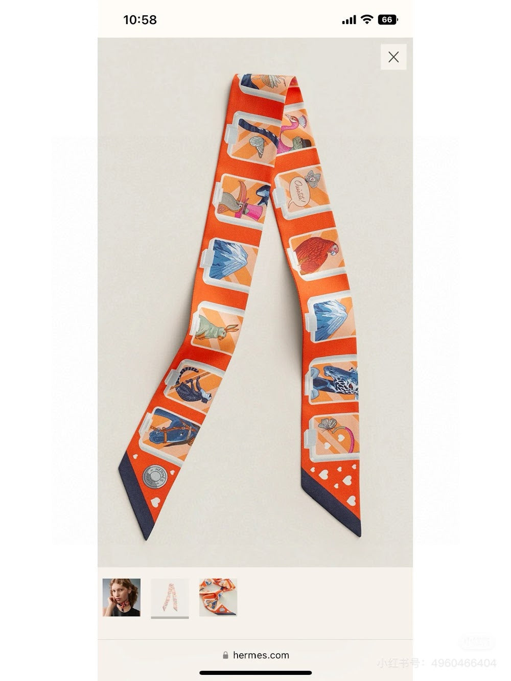 Dragons Bags Premium Designer Scarf --98994