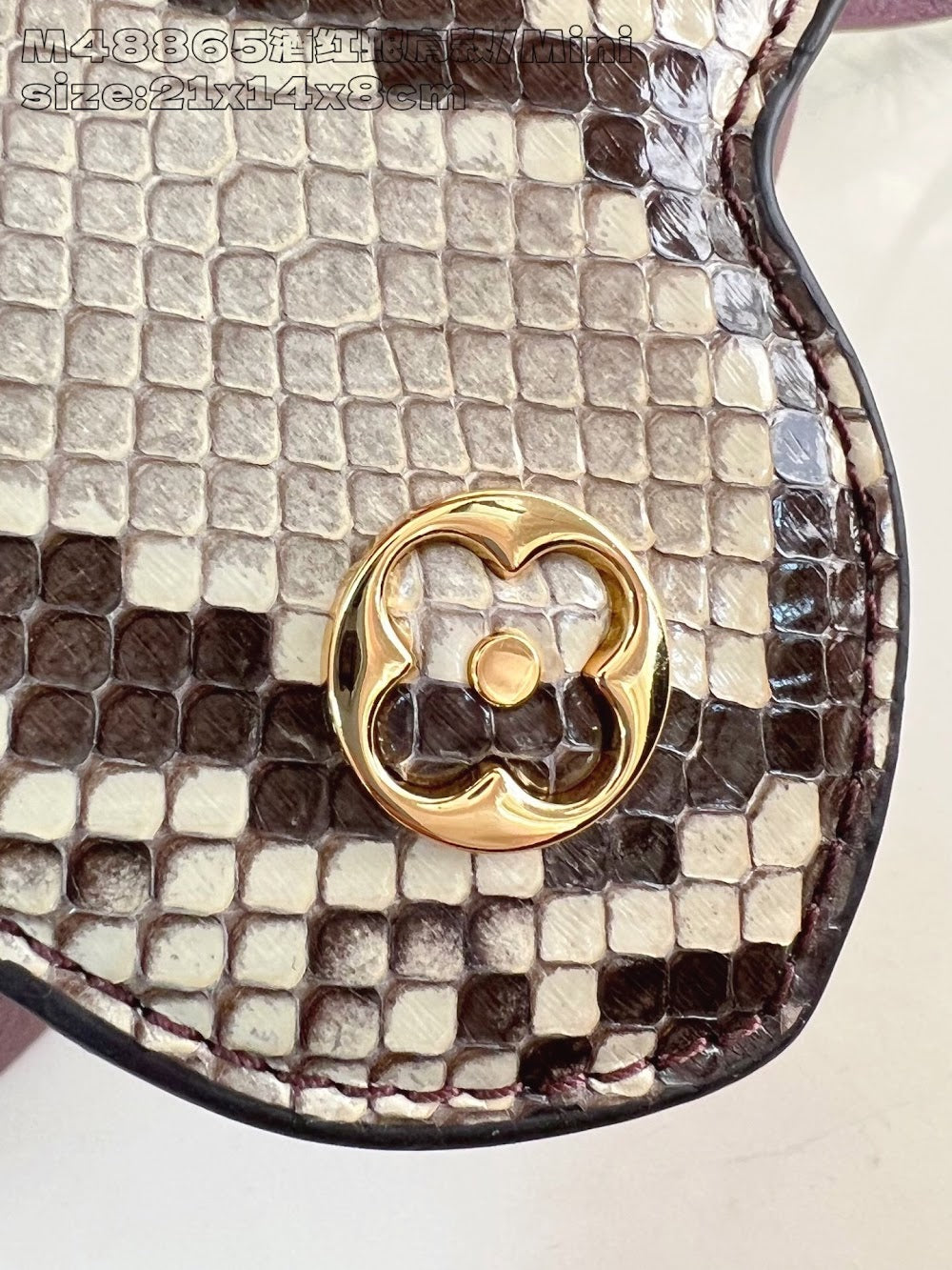 Dragons Bags ln Luxury Bag --95687