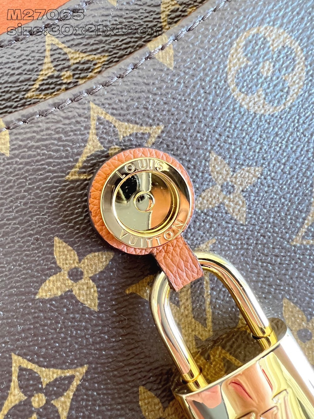 Dragons Bags ln Luxury Bag --96431