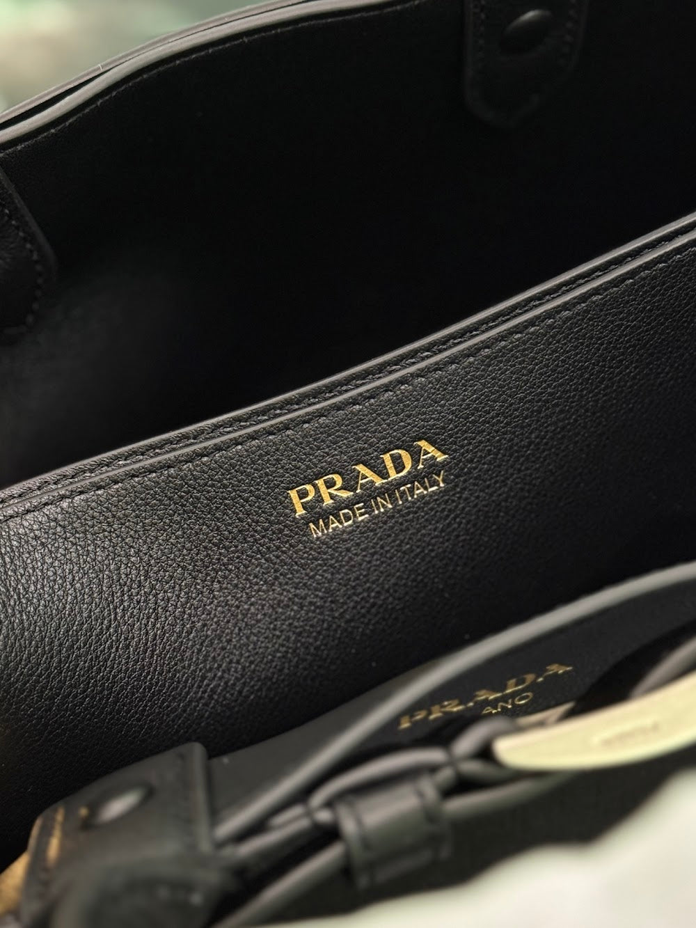 Dragons Bags Pradn Luxury Bag --102294