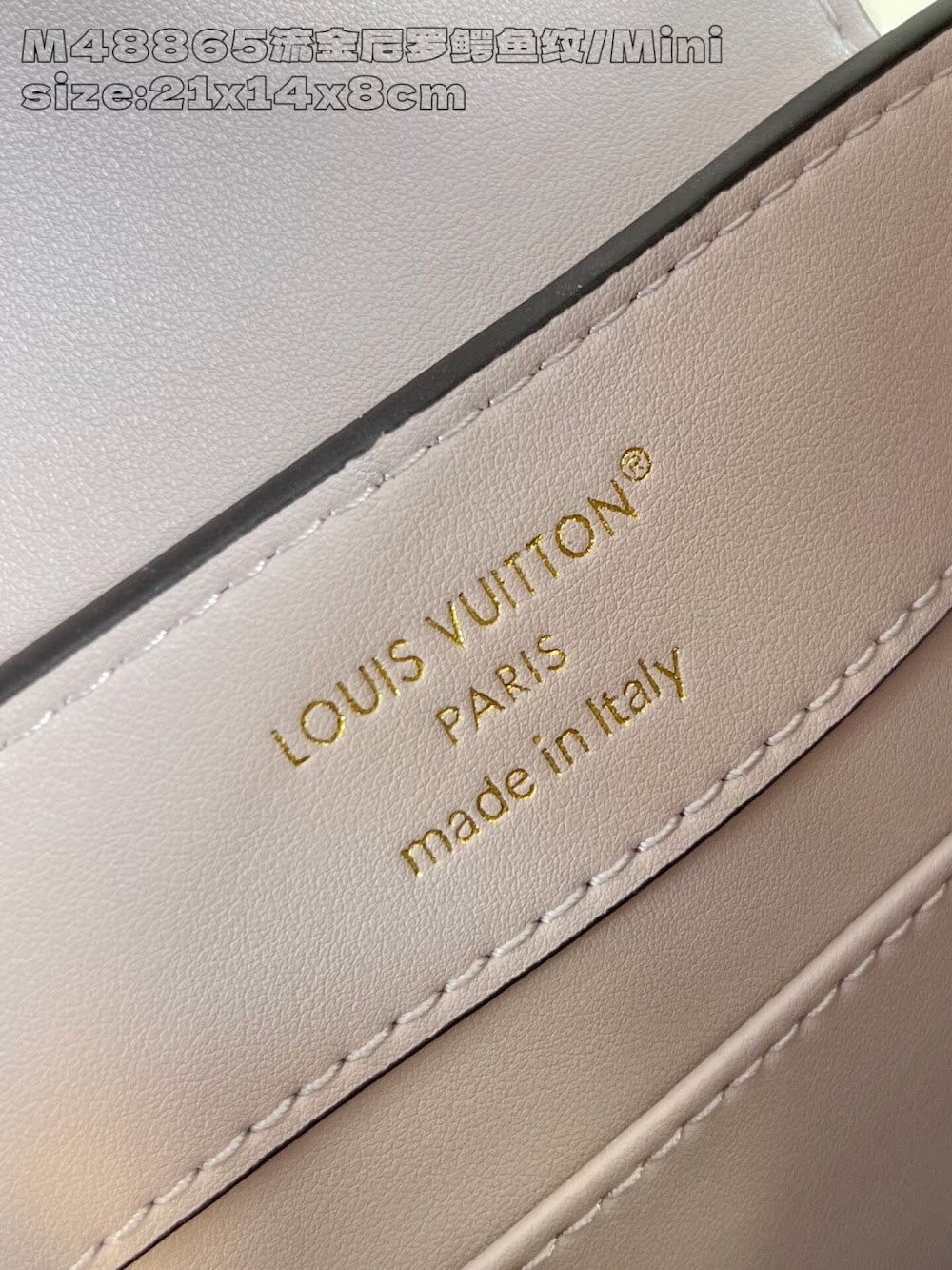 Dragons Bags ln Luxury Bag --95732