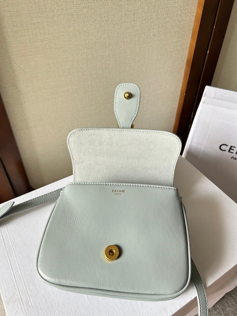 Dragons Bags Celine Luxury Bag --112515