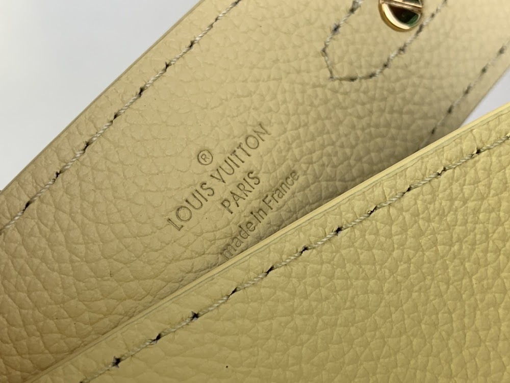 Dragons Bags ln Luxury Bag --58530