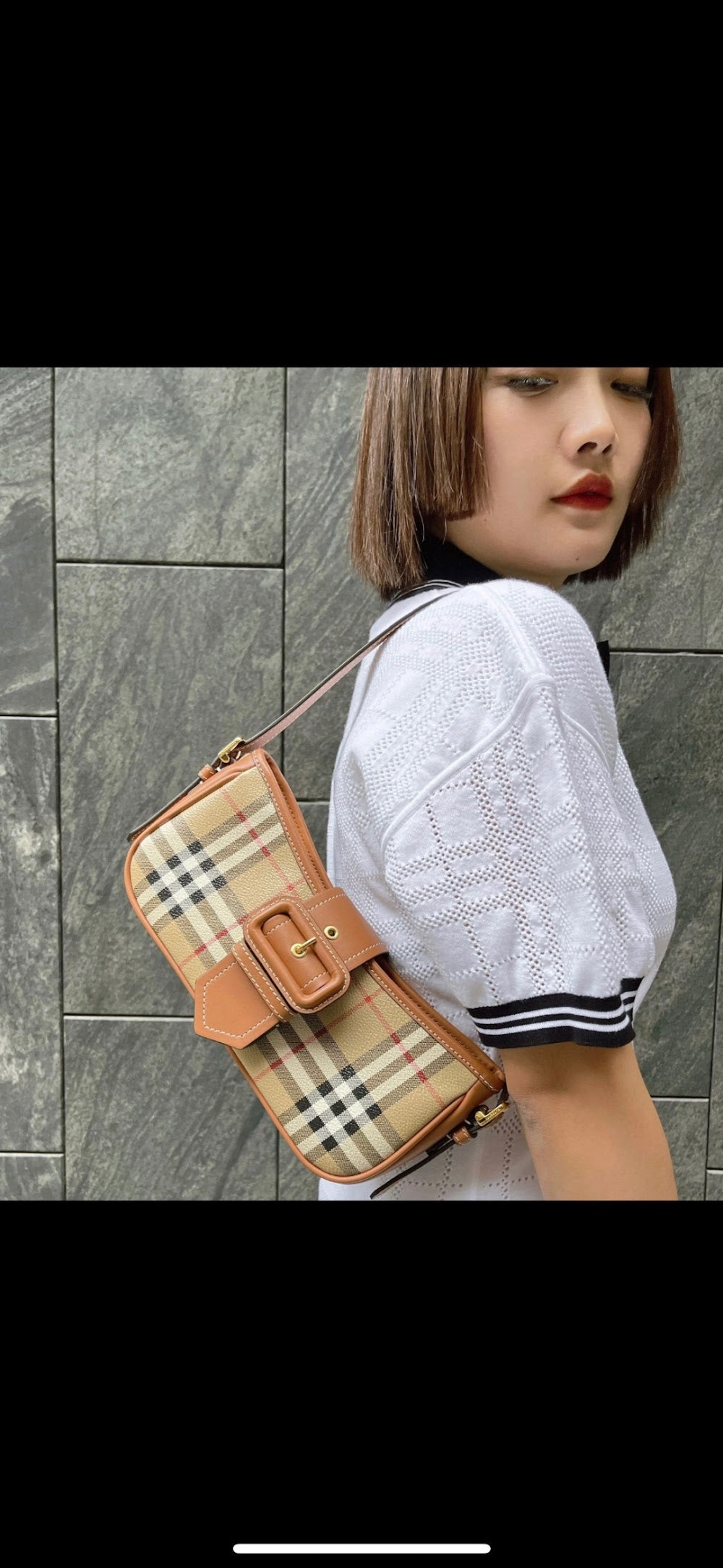 Dragons Bags Burberryn Luxury Bag --92886