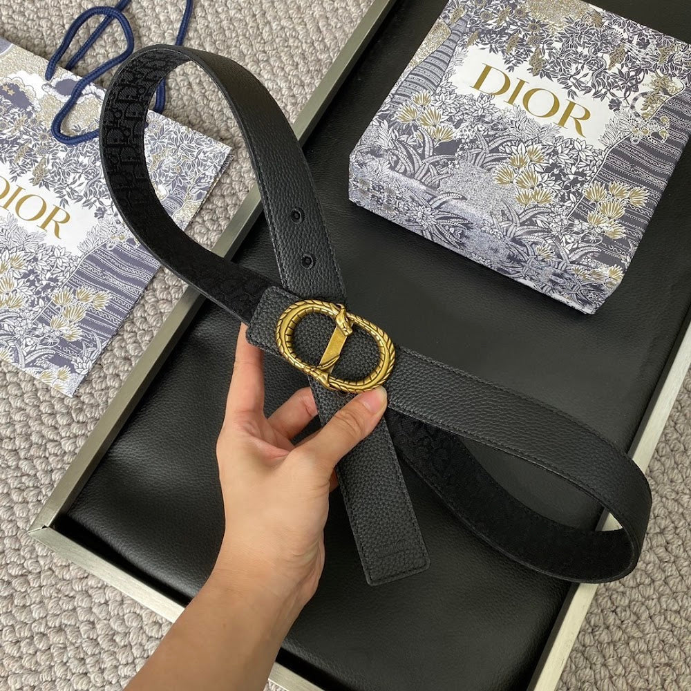 Dragons Bags Diorn Luxury Belt --104902