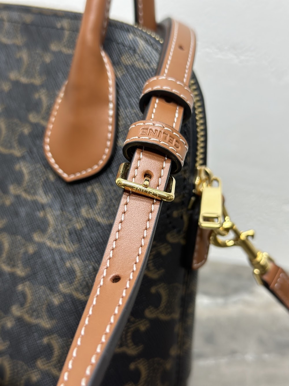 Dragons Bags Celine Luxury Bag --112349