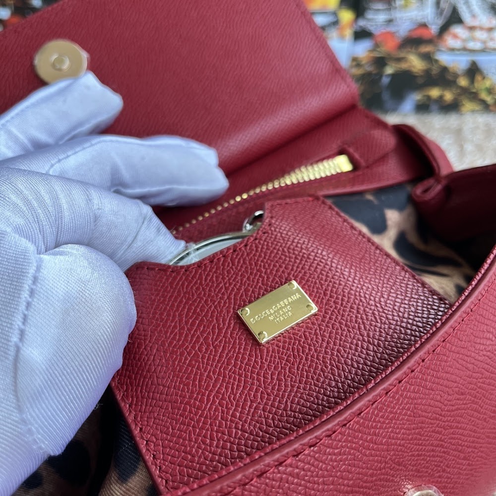 Dragons Bags DGn Luxury Bag --94021