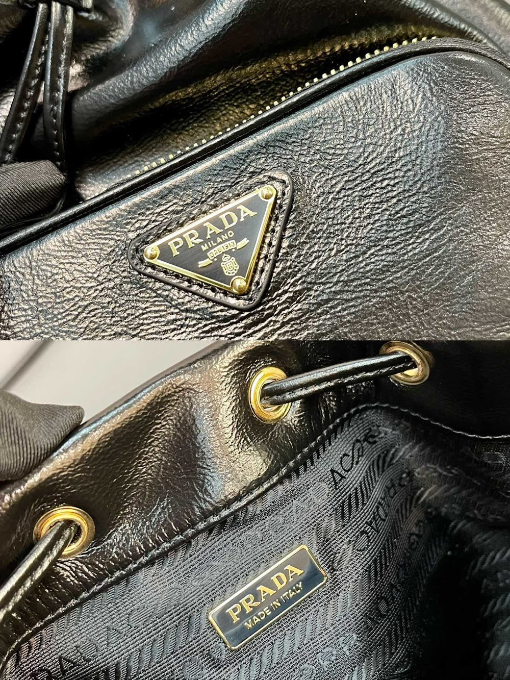 Dragons Bags Pradn Luxury Bag --102611
