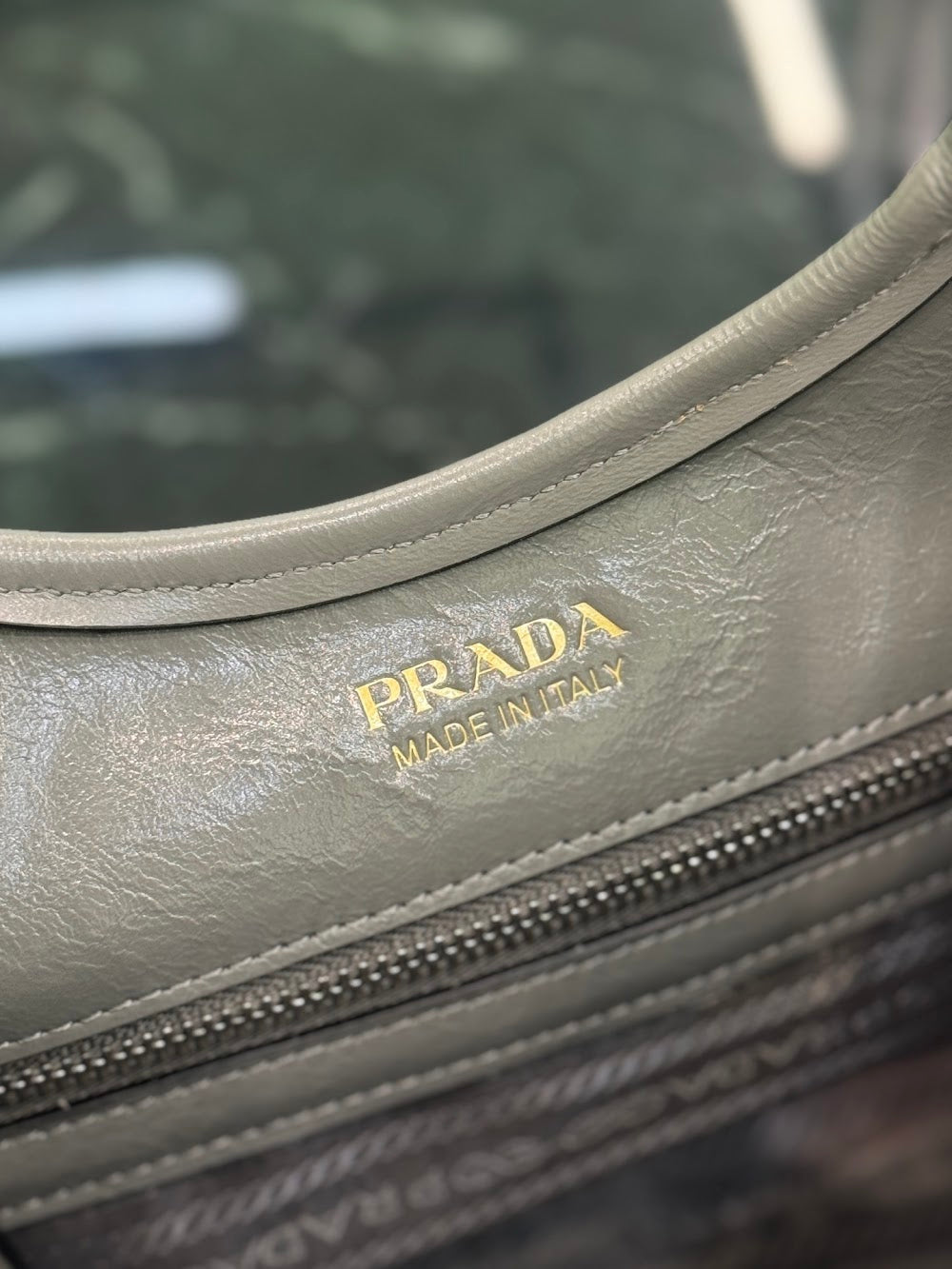 Dragons Bags Pradn Luxury Bag --102072