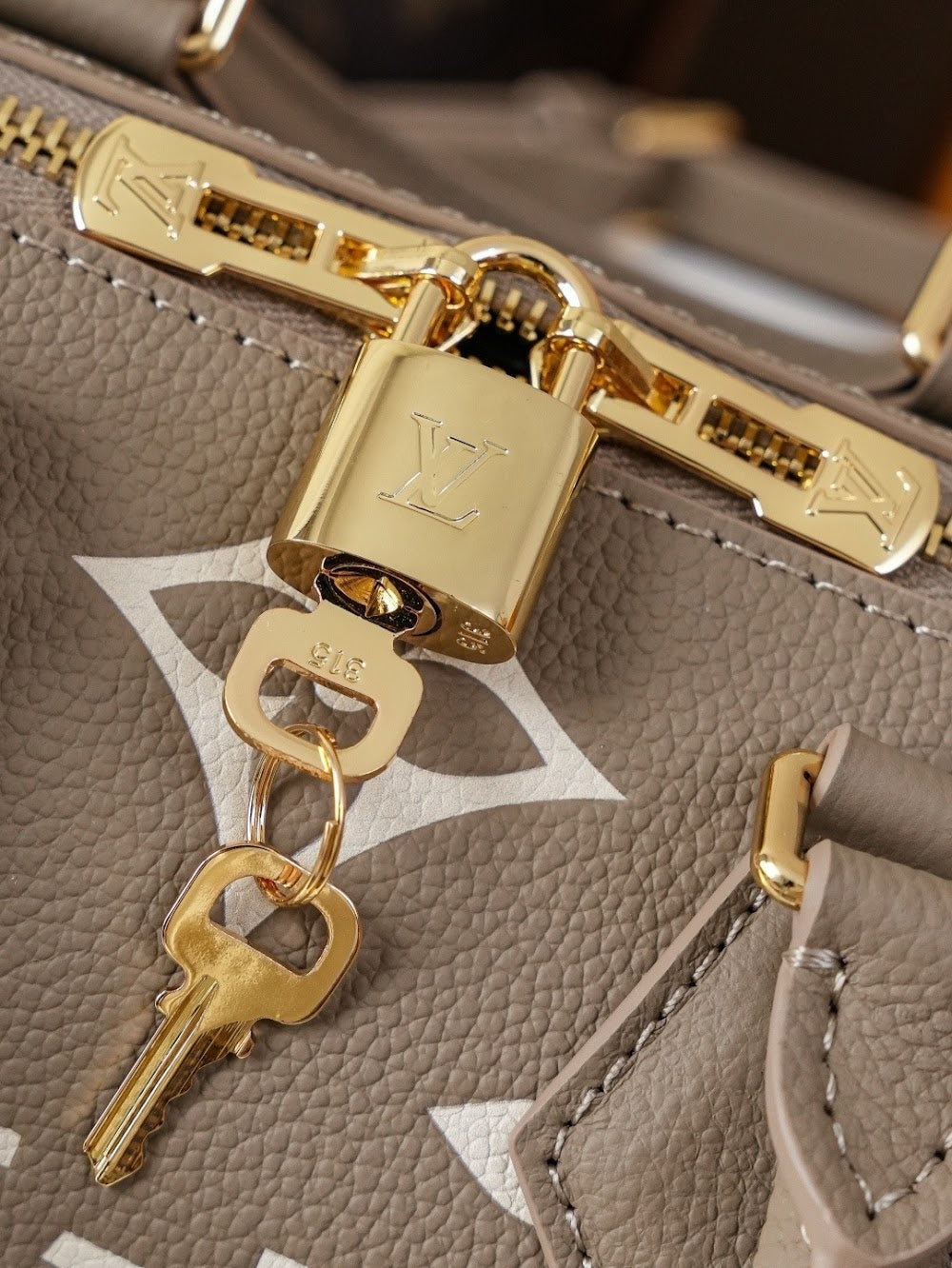 Dragons Bags LVn Luxury Bag --80830