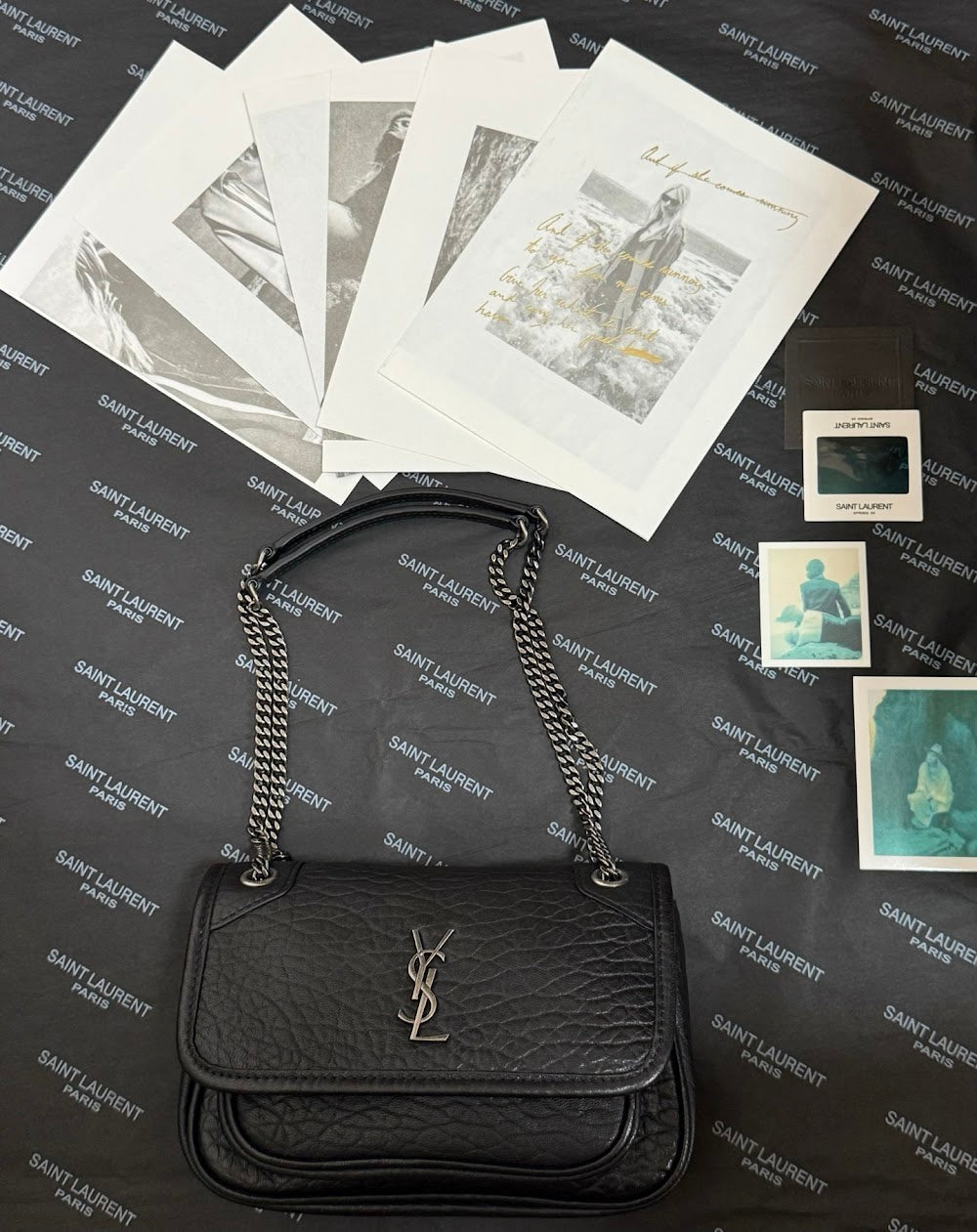 Dragons Bags YSLn Luxury Bag --119429