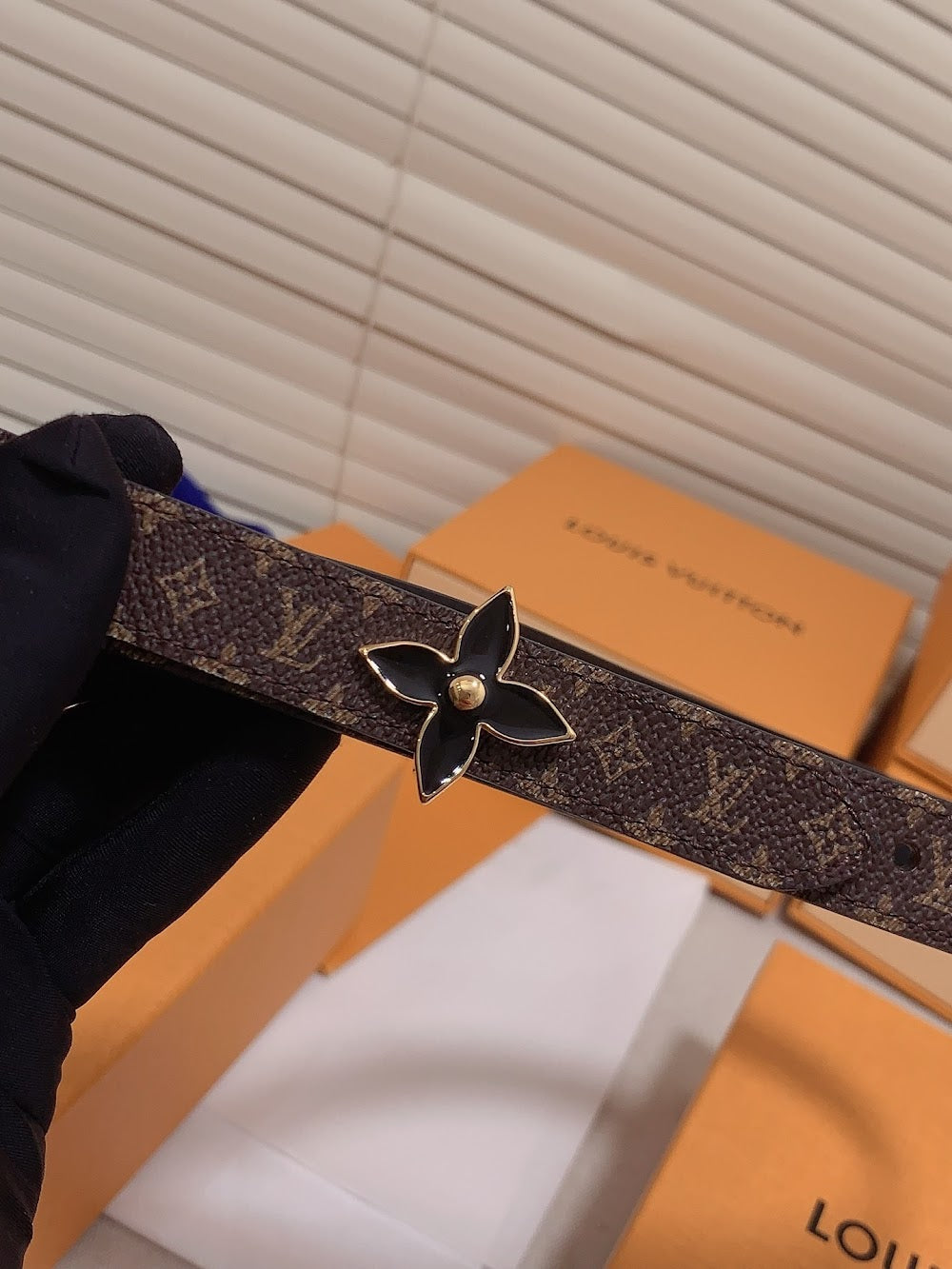 Dragons Bags ln Luxury Belt --100312