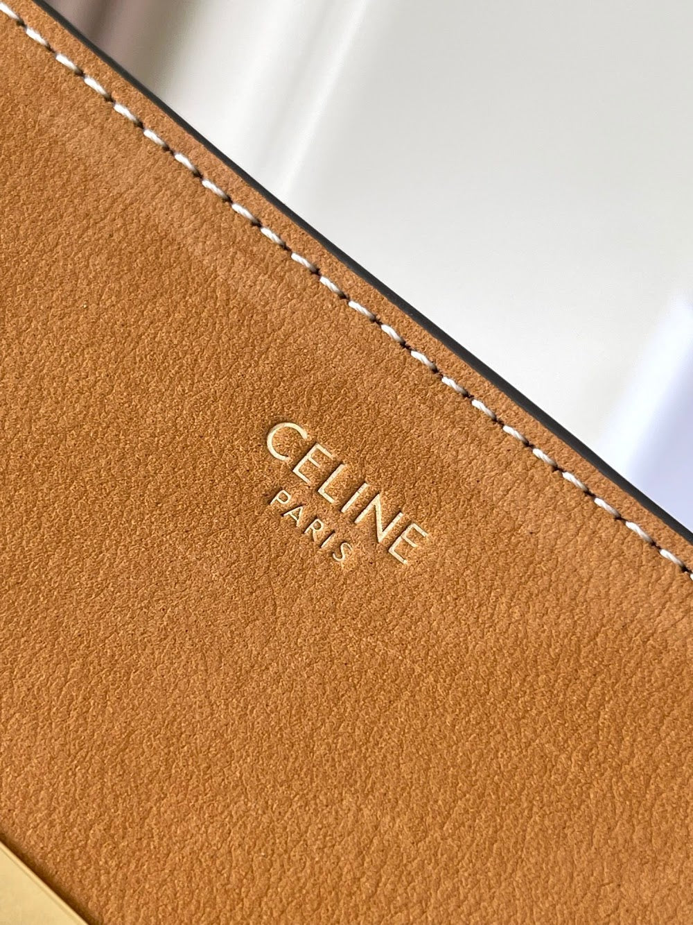 Dragons Bags Celine Luxury Bag --112138