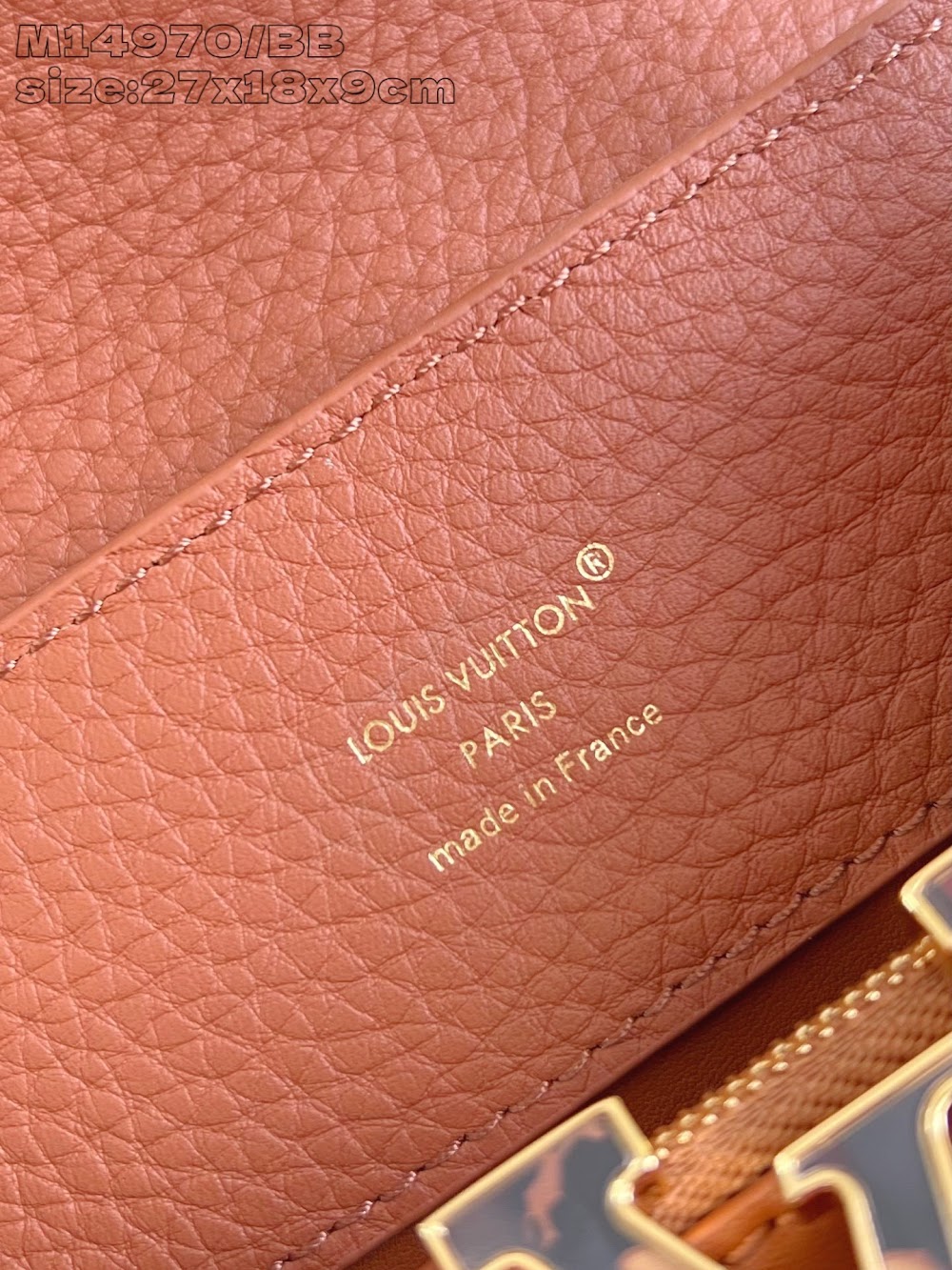 Dragons Bags ln Luxury Bag --97615