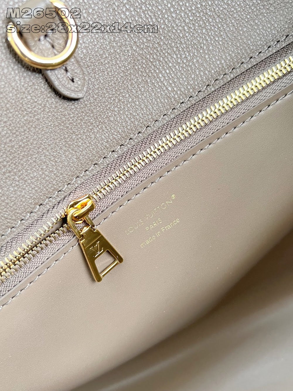 Dragons Bags ln Luxury Bag --95673