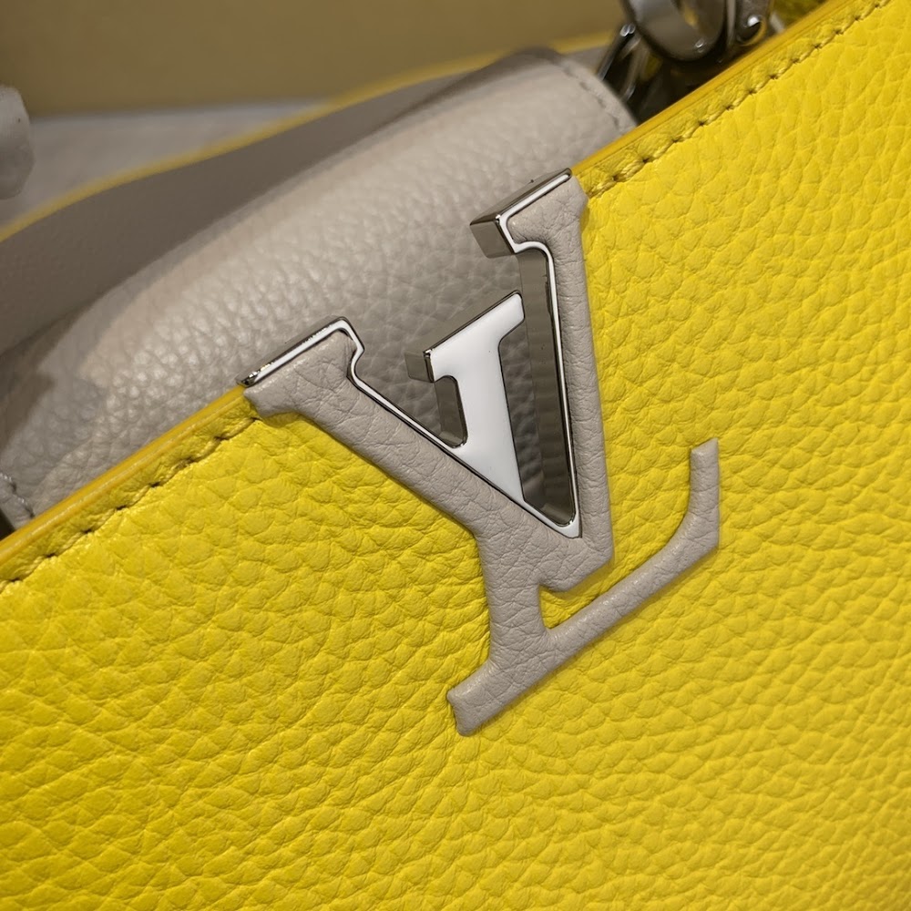 Dragons Bags ln Luxury Bag --65984