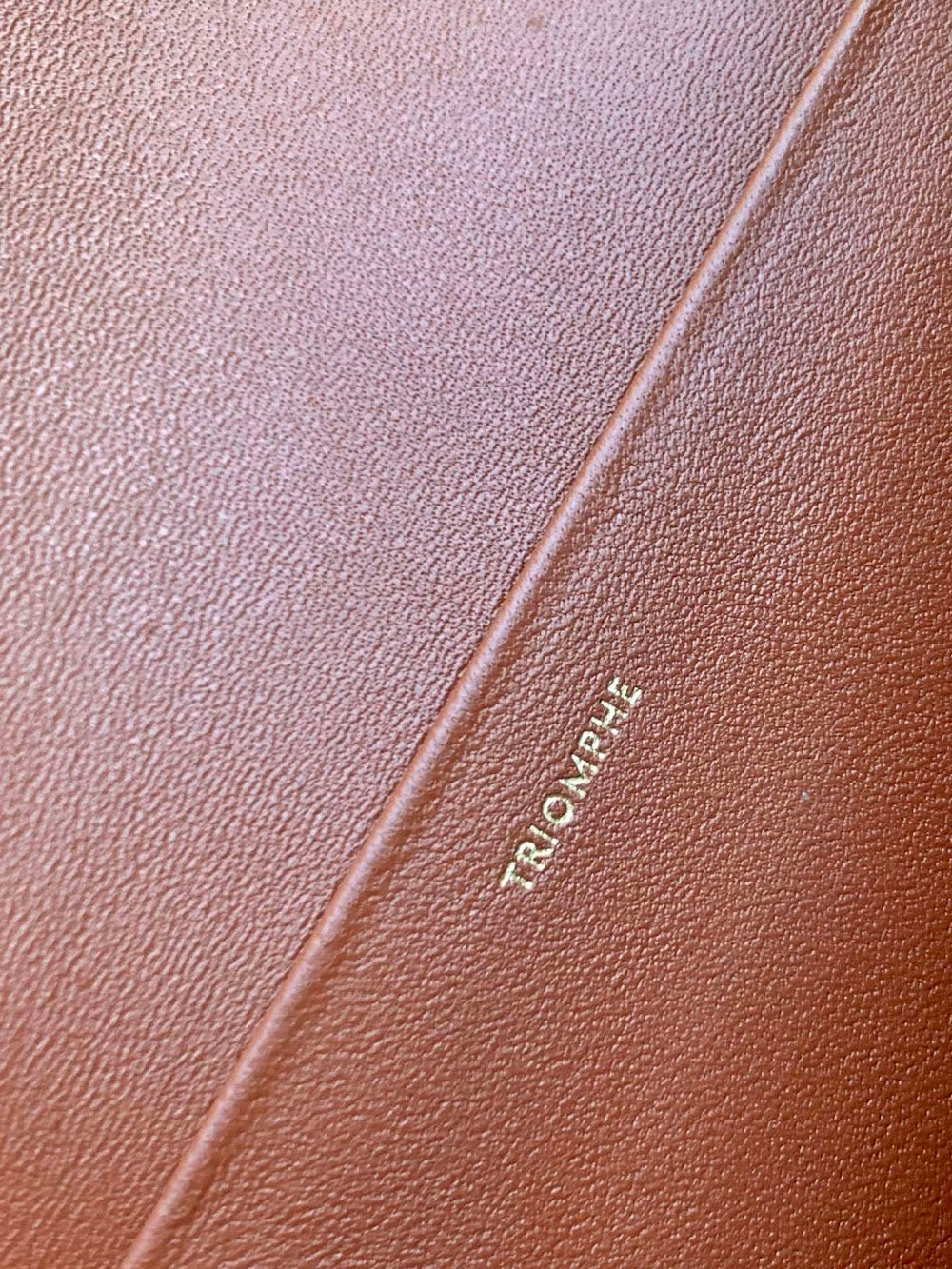 Dragons Bags Celine Luxury Bag --112582
