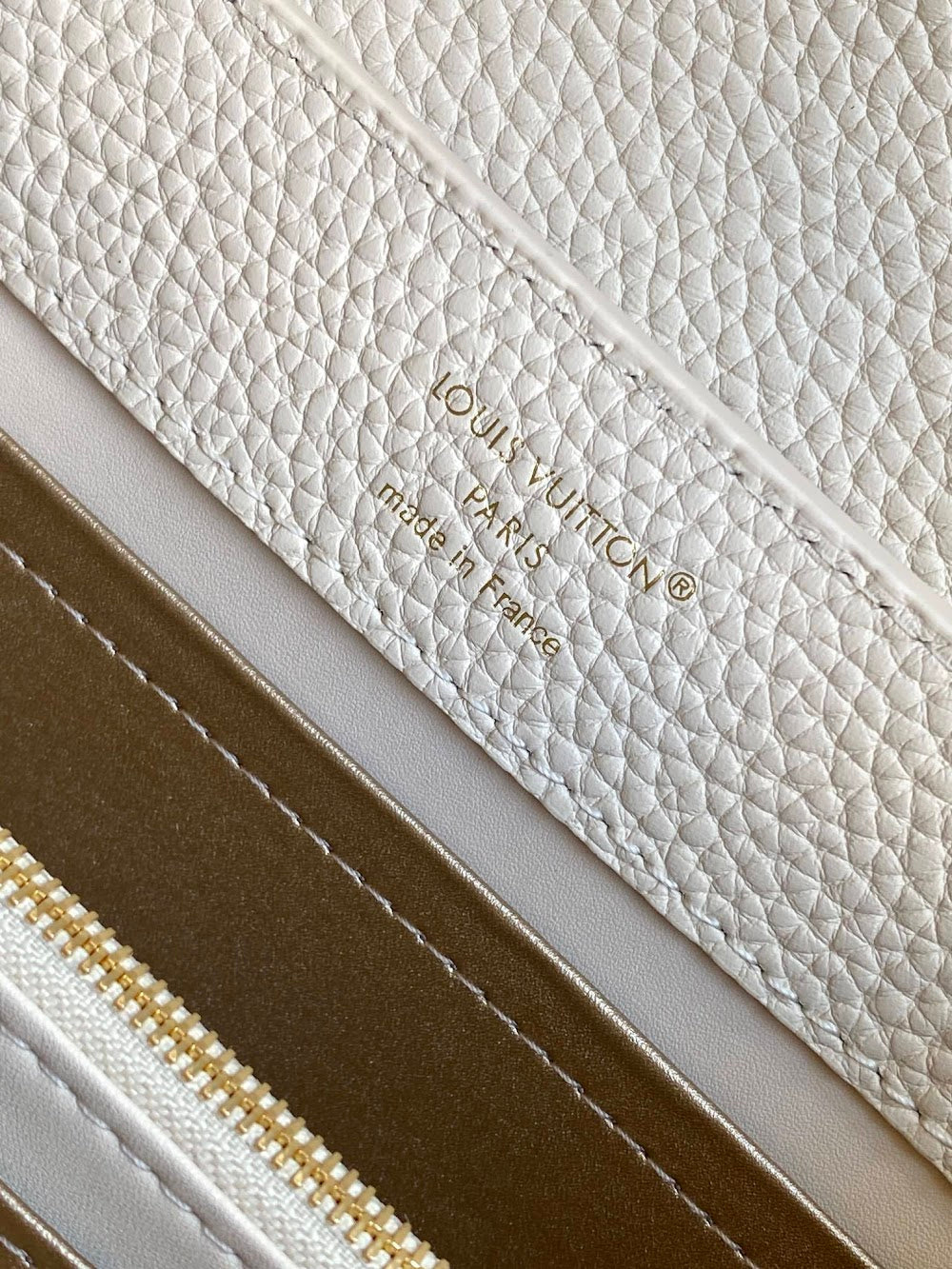 Dragons Bags ln Luxury Bag --96160