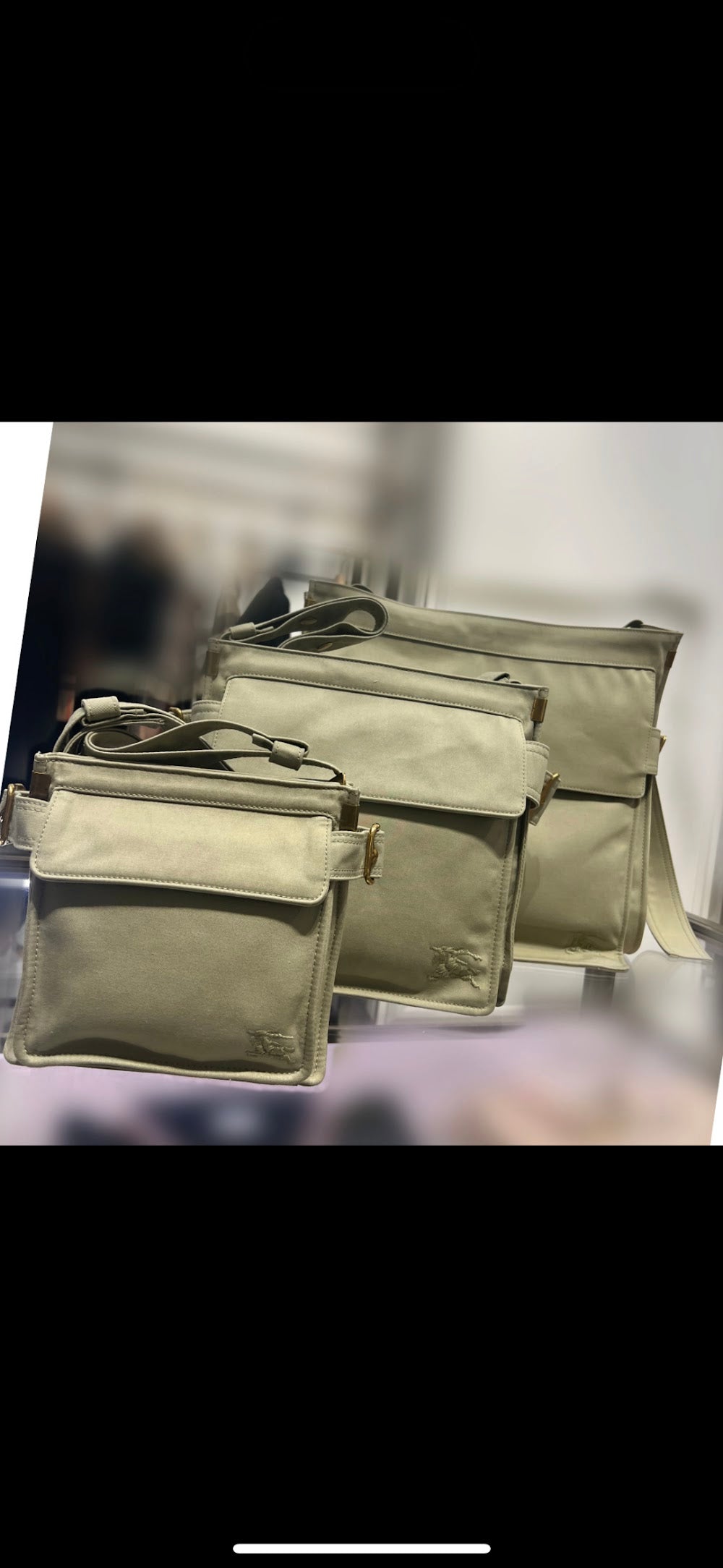 Dragons Bags Burberryn Luxury Bag --93108
