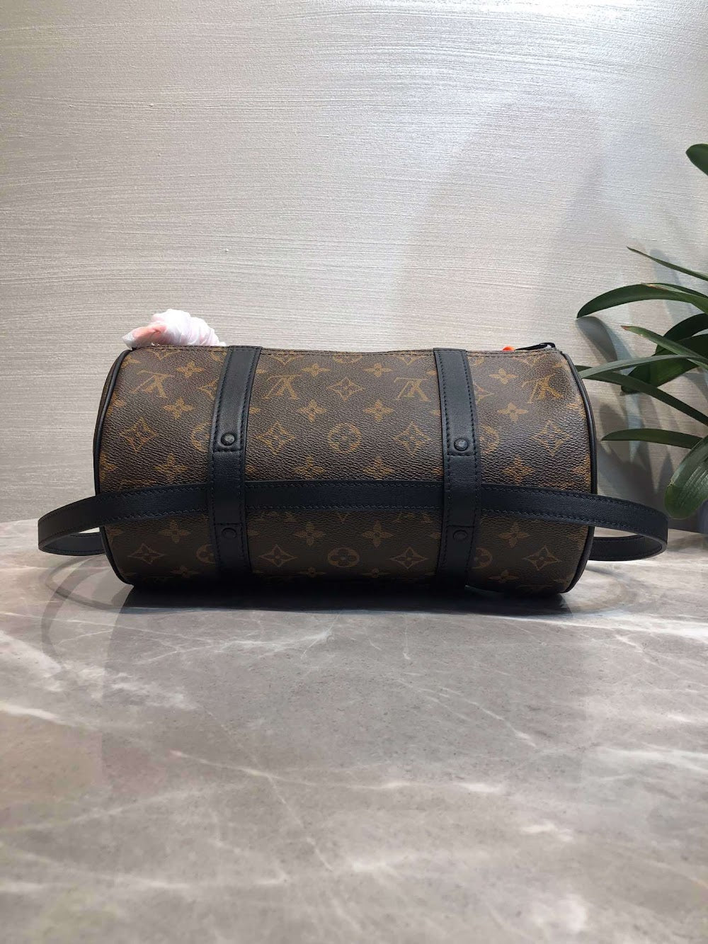 Dragons Bags ln Luxury Bag --66728