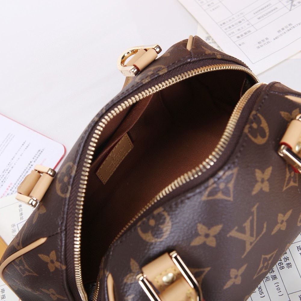 Dragons Bags LVn Luxury Bag --78910