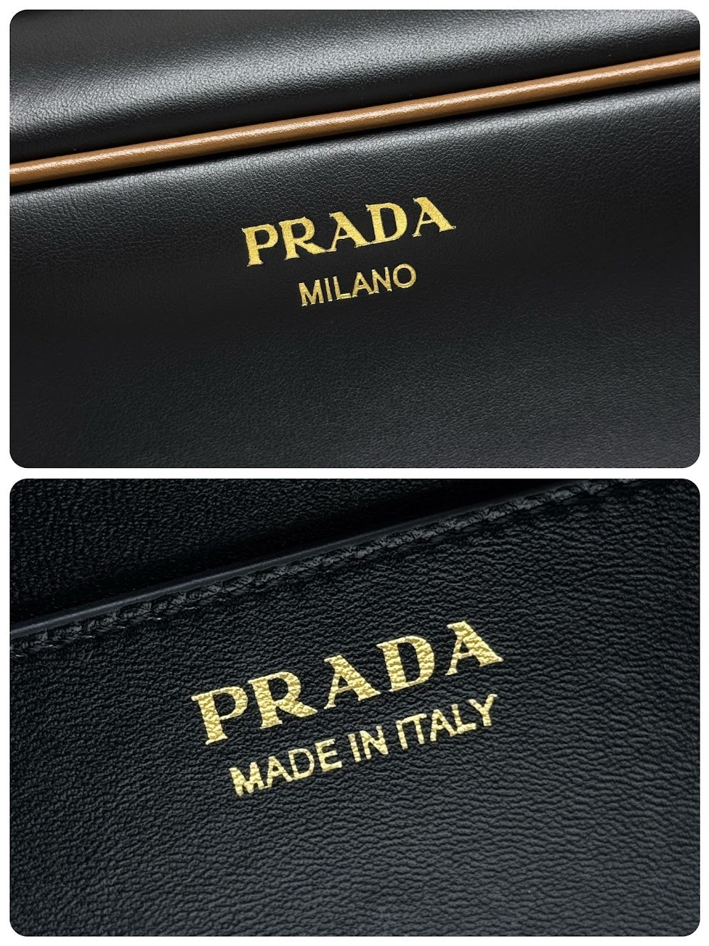 Dragons Bags Pradn Luxury Bag --101924