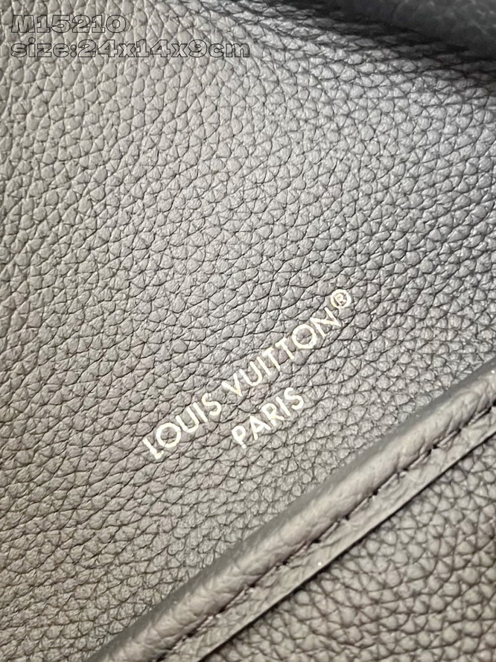 Dragons Bags ln Luxury Bag --96964