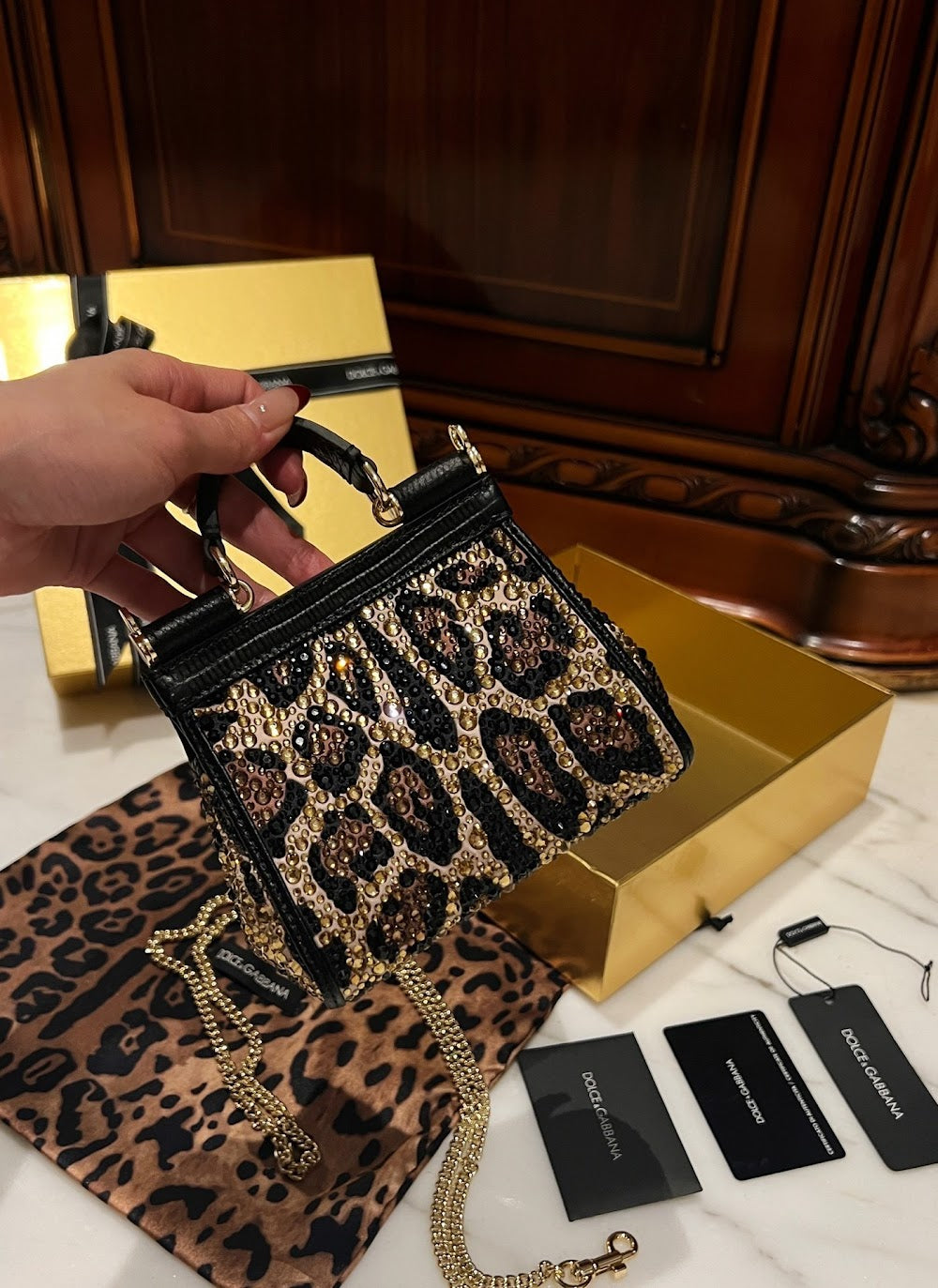 Dragons Bags DGn Luxury Bag --93673